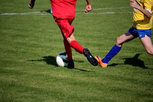 九游体育官网入口-仰泳项目美队稳住阵脚,仰泳的比赛视频 第2张