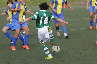 九游娱乐官网-体育纪录片内容更加丰富，体育纪录片主题